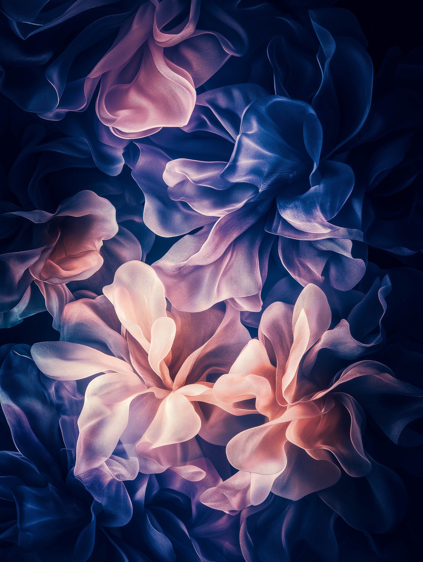 Soft Blooms | Gustaras Soft Blooms