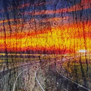 Photo from collection "Autumn reflections" 2025